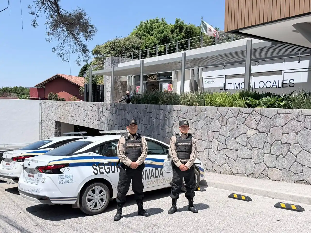 Seguridad Comercial